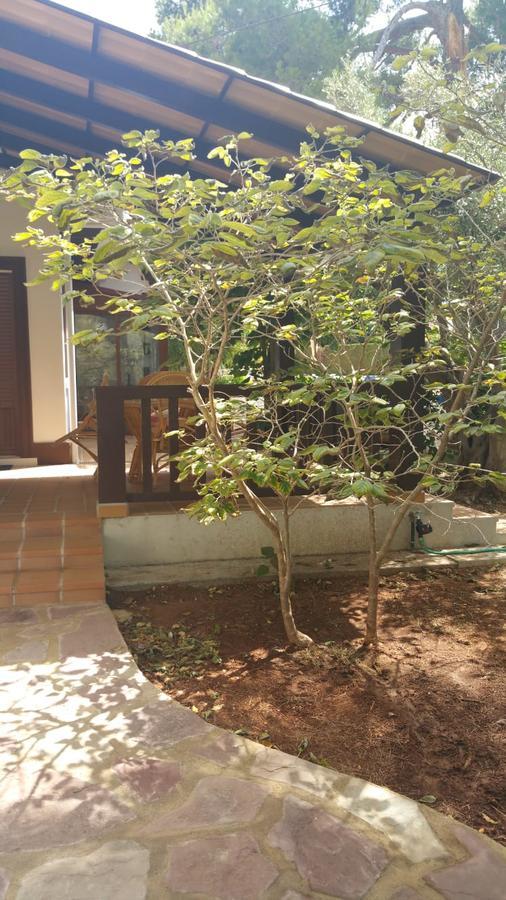 Villa Chabola Denia Bagian luar foto