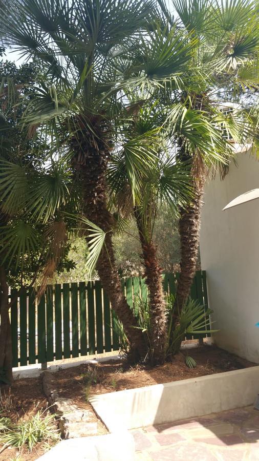 Villa Chabola Denia Bagian luar foto