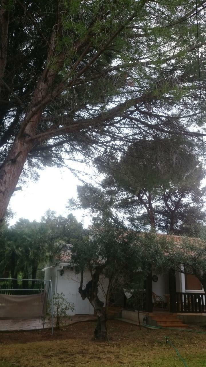 Villa Chabola Denia Bagian luar foto